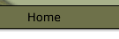 Back to Home Page